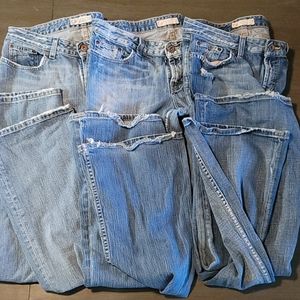 Buckle 31x35.5 denim bundle